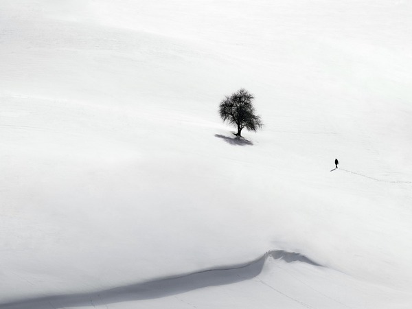 Photograph Mohammad Alipour Winter on One Eyeland